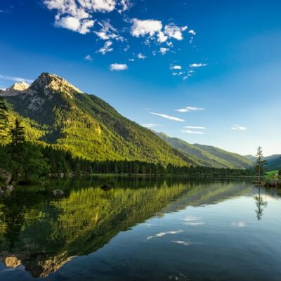 Nguyễn Minh Trí
